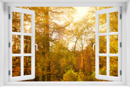 Fototapeta Naklejka Na Ścianę Okno 3D - Sonnenstrahlen auf einem Feldweg im Herbstwald