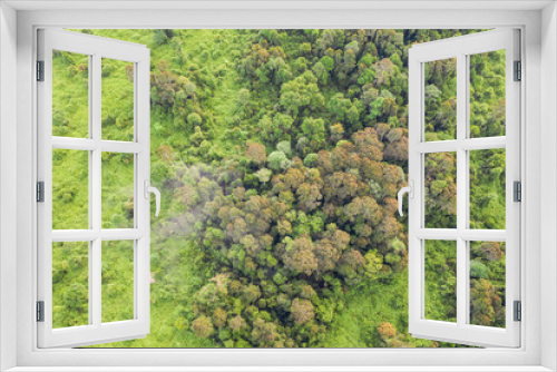 Fototapeta Naklejka Na Ścianę Okno 3D - Aerial view of the Borneo rainforest at Klias Forest Reserve, Beaufort Sabah.