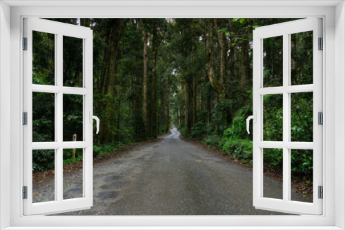 Fototapeta Naklejka Na Ścianę Okno 3D - Narrow country road through the rain forest 
