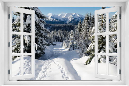 Fototapeta Naklejka Na Ścianę Okno 3D - Winter in Carpathian mountains