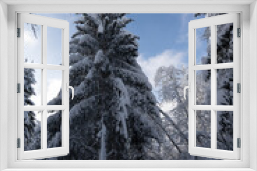 Fototapeta Naklejka Na Ścianę Okno 3D - Baum im Schnee