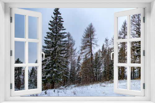 Fototapeta Naklejka Na Ścianę Okno 3D - Winter forest on a cloudy day in the mountains