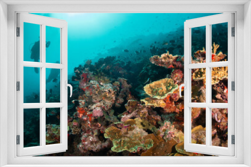 Fototapeta Naklejka Na Ścianę Okno 3D - Scuba divers swimming among colorful reef ecosystems underwater, surrounded by schools of small tropical fish 