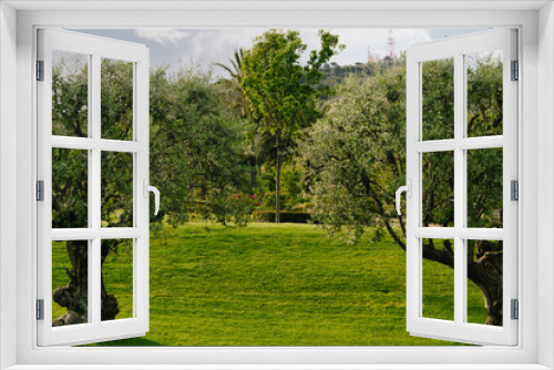 Fototapeta Naklejka Na Ścianę Okno 3D - Selective Focus - Two olive trees with the beautiful garden and roses in the background