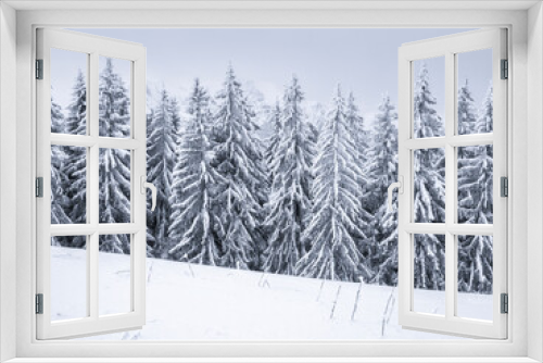 Fototapeta Naklejka Na Ścianę Okno 3D - Winter landscape with pine trees covered with fresh white snow. Carpathian Mountains in Romania