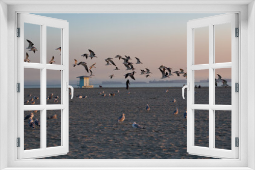 Fototapeta Naklejka Na Ścianę Okno 3D - A flock of seagulls flying in long beach sky