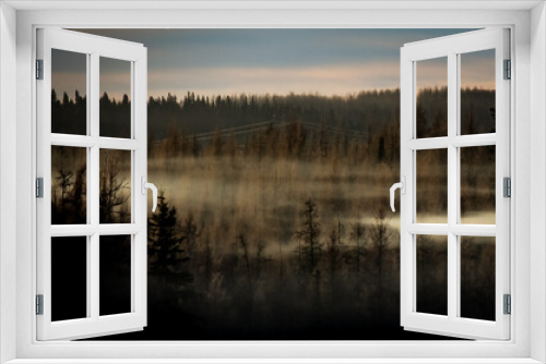Fototapeta Naklejka Na Ścianę Okno 3D - The haze over the forest
