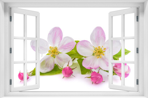 Fototapeta Naklejka Na Ścianę Okno 3D - Apple Flowers with buds