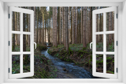 Fototapeta Naklejka Na Ścianę Okno 3D - A hike through the forest in the Westerwald in winter