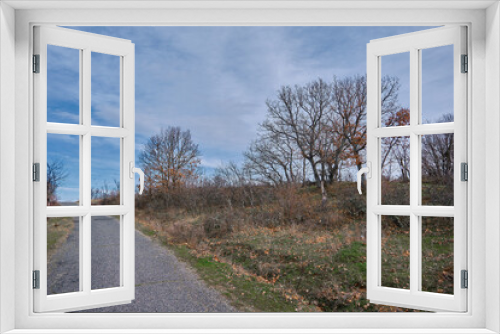 Fototapeta Naklejka Na Ścianę Okno 3D - Gravel road and path with green grass, blue sky and dried brown leaves and trees.