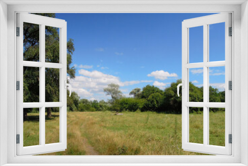 Fototapeta Naklejka Na Ścianę Okno 3D - Russian summer landscape with trees and sky