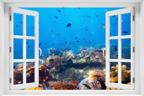 Fototapeta Naklejka Na Ścianę Okno 3D - Reef
