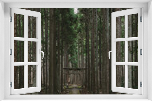 Fototapeta Naklejka Na Ścianę Okno 3D - 賀茂神社