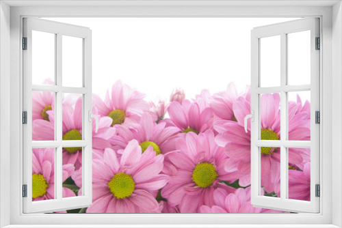 Fototapeta Naklejka Na Ścianę Okno 3D - Beautiful bright pink chamomile (Matricária) on a white isolated background close up