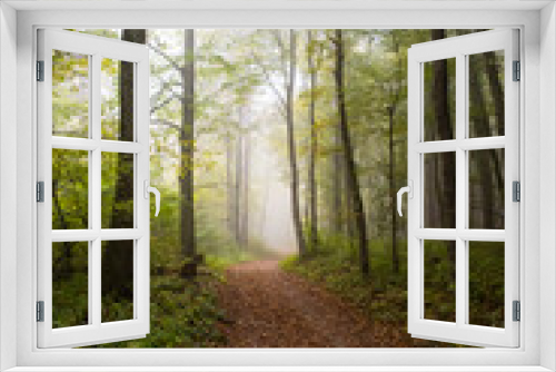Fototapeta Naklejka Na Ścianę Okno 3D - misty green forest
