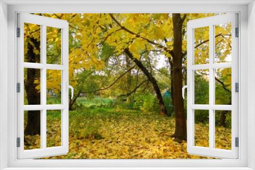 Fototapeta Naklejka Na Ścianę Okno 3D - golden autumn
