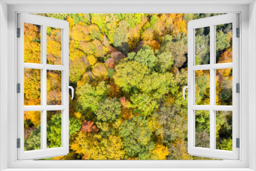 Fototapeta Naklejka Na Ścianę Okno 3D - Autumn fall trees tree forest woods colorful leaves season aerial photo view background