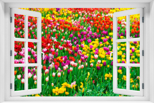 Fototapeta Naklejka Na Ścianę Okno 3D - background filled with colorful spring tulips with greenery. High quality photo
