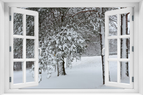 Fototapeta Naklejka Na Ścianę Okno 3D - Snowy trees by a road