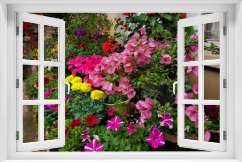 Fototapeta Naklejka Na Ścianę Okno 3D - Winter Garden Flowers
