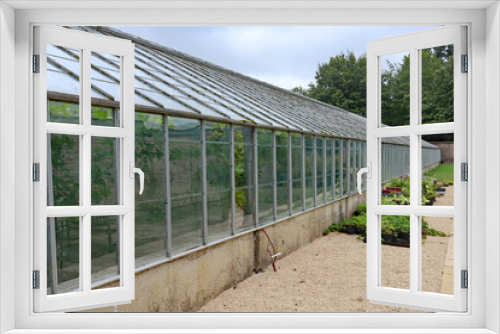 Fototapeta Naklejka Na Ścianę Okno 3D - A large greenhouse in the kitchen garden of an English country house