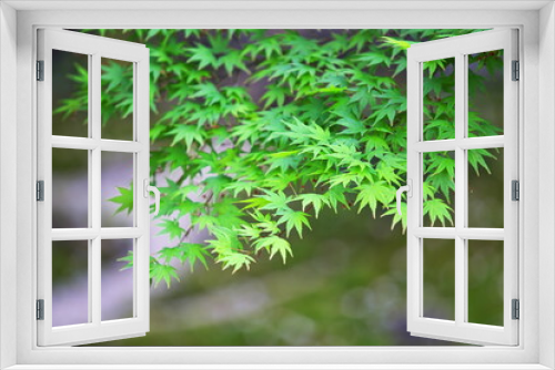 Fototapeta Naklejka Na Ścianę Okno 3D - 長谷寺の春