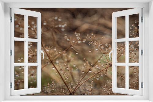 Fototapeta Naklejka Na Ścianę Okno 3D - Nature beauty