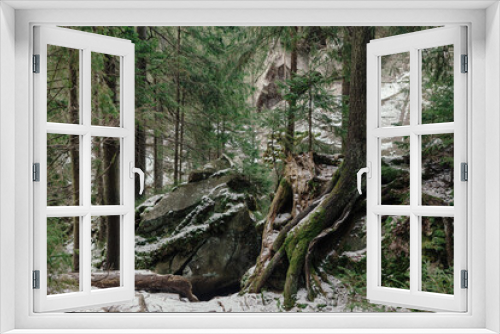 Fototapeta Naklejka Na Ścianę Okno 3D - Landscape in the forest in the mountains. Rocks and tree trunks covered in moss