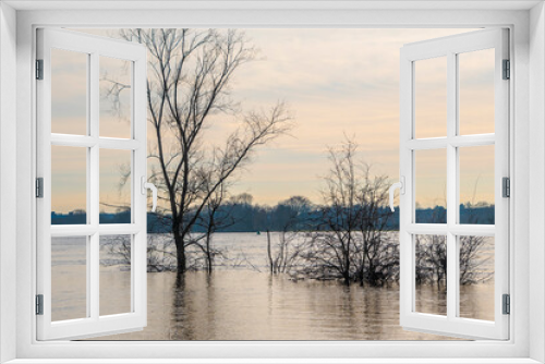 Fototapeta Naklejka Na Ścianę Okno 3D - Landscape with flooded river Maas in Bergen - Noord Limburg, the Netherlands