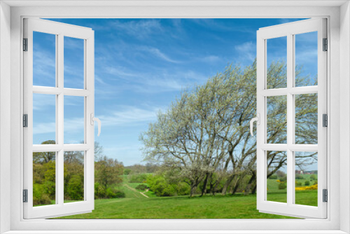 Fototapeta Naklejka Na Ścianę Okno 3D - English rural landscape with fields, trees, shrubs and blue sky in spring. Beverley, UK.