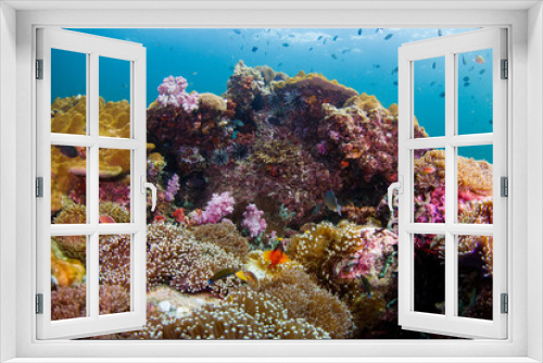 Fototapeta Naklejka Na Ścianę Okno 3D - A beautiful, brightly colored tropical coral reef in a tropical ocean.
