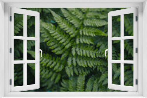 Fototapeta Naklejka Na Ścianę Okno 3D - leaves natural structure pattern