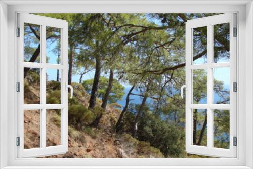 Fototapeta Naklejka Na Ścianę Okno 3D - Amazing landscape of various mountain forest trees on a mountain slope against the mirror surface of the sea bay on the horizon.