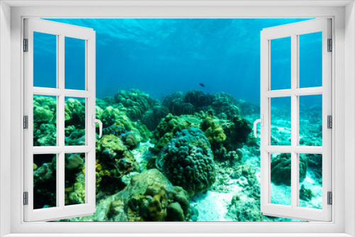 Fototapeta Naklejka Na Ścianę Okno 3D - underwater scene with coral reef and fish; phi phi island; Thailand.