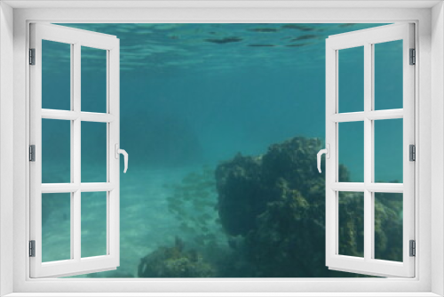 Fototapeta Naklejka Na Ścianę Okno 3D - Sports, Under water