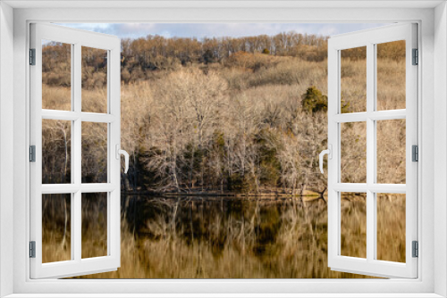 Fototapeta Naklejka Na Ścianę Okno 3D - tree reflection in the lake