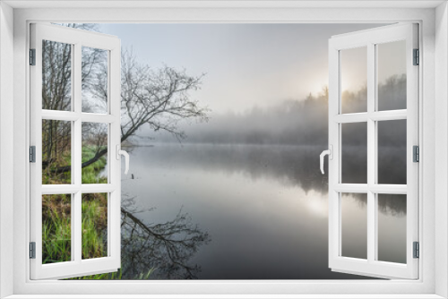 Fototapeta Naklejka Na Ścianę Okno 3D - Amazing, mystical, inimitable spectacular, spring morning in the fog.