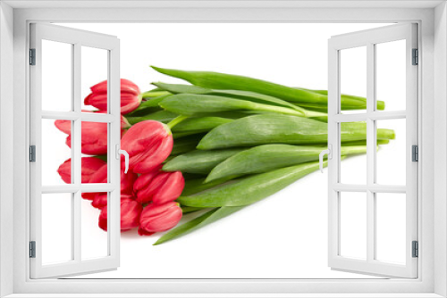Fototapeta Naklejka Na Ścianę Okno 3D - pink tulips isolated on white background