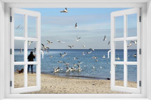 Fototapeta Naklejka Na Ścianę Okno 3D - peolpe feed wild seagulls on the spring beach Odessa city Black sea coast Ukraine