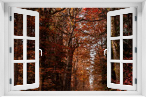 Fototapeta Naklejka Na Ścianę Okno 3D - Autunno Urdorf Wald 2