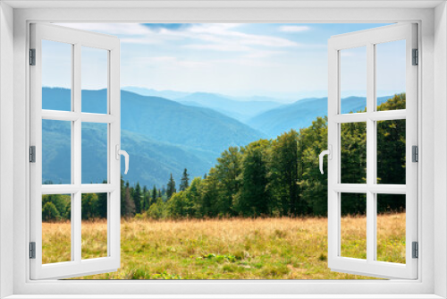 Fototapeta Naklejka Na Ścianę Okno 3D - yellow grass on the meadow in mountains. beautiful nature landscape beneath a blue sky with fluffy clouds at high noon.