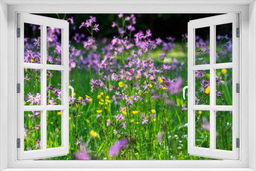 Fototapeta Naklejka Na Ścianę Okno 3D - A beautiful blooming spring meadow full of purple and yellow flowers of meadow plants with beautiful backlight