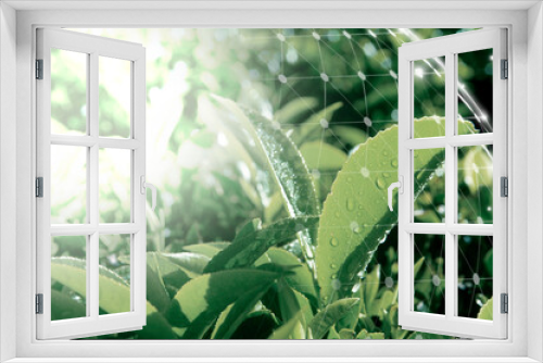 Fototapeta Naklejka Na Ścianę Okno 3D - Smart agriculture green plant product farming technology background
