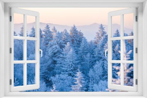 Fototapeta Naklejka Na Ścianę Okno 3D - Beautiful winter landscape. Powdered low trees stand on the top of the mountain at sunset. Trees in the snow.