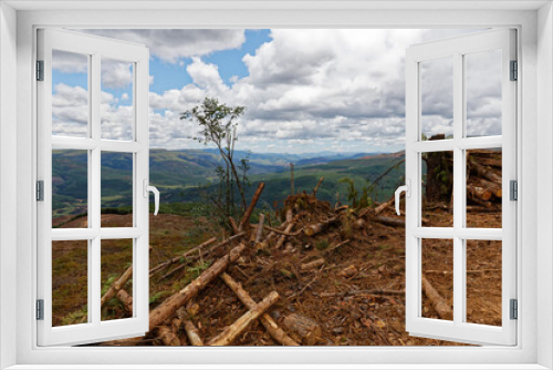 Fototapeta Naklejka Na Ścianę Okno 3D - Stacked timber logs with view on to plantation. Forestry in hills of South Africa