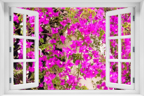 Fototapeta Naklejka Na Ścianę Okno 3D - flowers in the garden