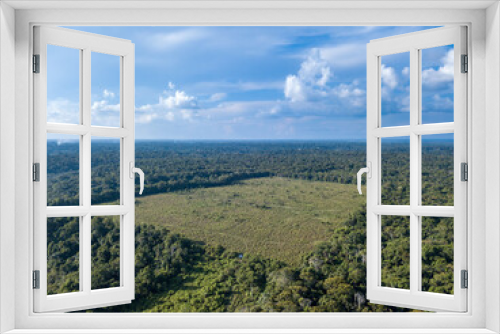 Fototapeta Naklejka Na Ścianę Okno 3D - Drone aerial view of deforestation area pasture for cattle farms in the Amazon rainforest, Brazil. Concept of ecology, destruction, conservation, CO2, agriculture, global warming, environment.	