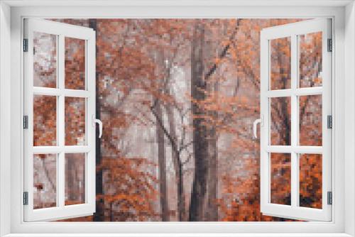Fototapeta Naklejka Na Ścianę Okno 3D - autumn foggy landscape in the middle of a wild deciduous forest. amazing multicolored leaves in the wild