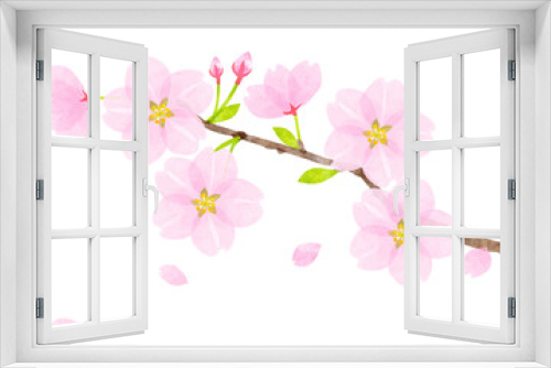Fototapeta Naklejka Na Ścianę Okno 3D - Cherry blossom branch watercolor texture