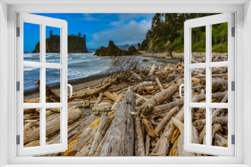 Fototapeta Naklejka Na Ścianę Okno 3D - Trunks of fallen trees at low tide on the Pacific Ocean in Olympic, National Park, Washington
